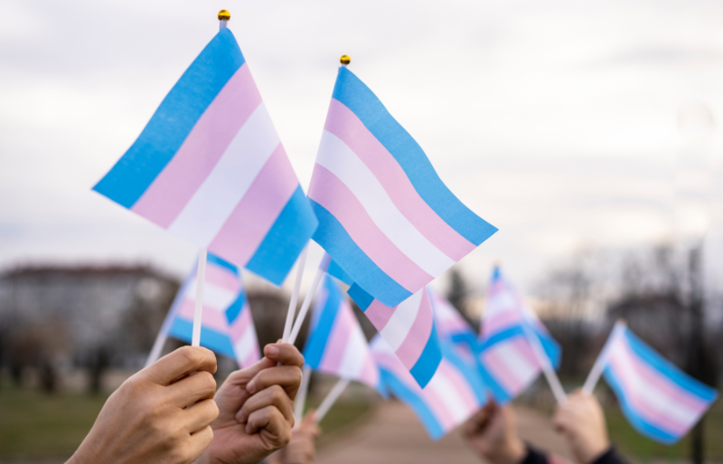 Image illustrant des drapeaux de la trans-identité