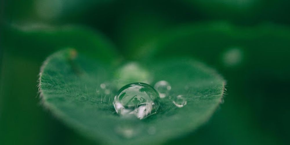 hydrafacial ou microneedling